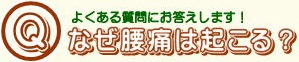 なぜ腰痛は起こる