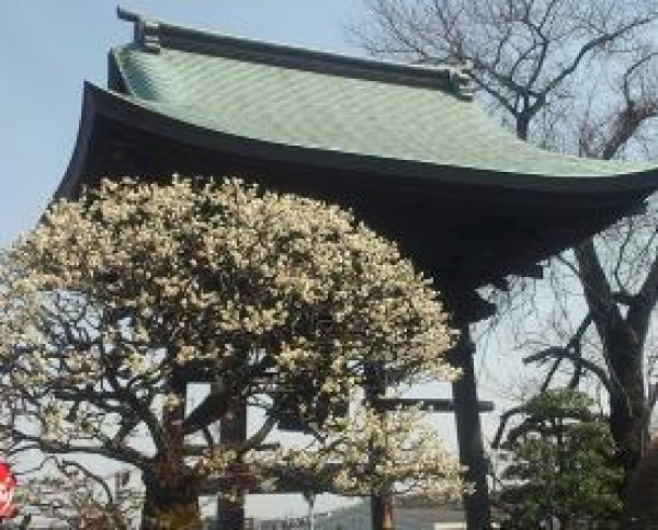 お墓参り日和サムネイル